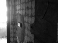 CSA_06