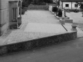 VET_6